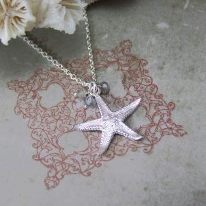 silver starfish
